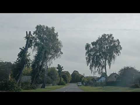 Видео: Дом родной, дорога в родную деревню. Подороск. Дубичи. Краски. ❤️