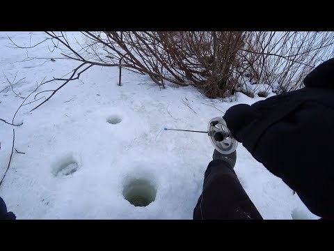 Видео: ТАКОГО от малой реки, мы НЕ ЖДАЛИ. Рыбалка на безмотылку зимой в 2023