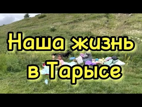 Видео: 21 января 2023 г.