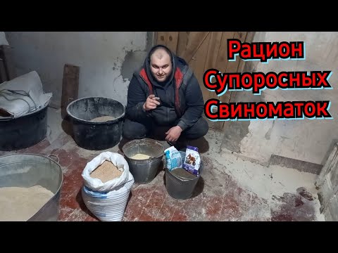 Видео: ✅️Чем кормить будущих мамок🐷, что бы были жирные жо.п.ки❓️🤣