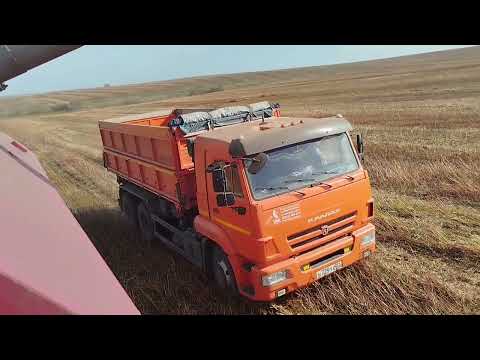 Видео: Обед комбайнёра 🍲 Уборка урожая 🌾🌾🌾