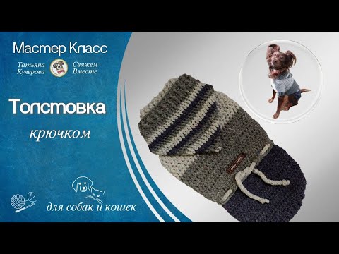 Видео: Как связать толстовку крючком для собак, hoodie for dogs