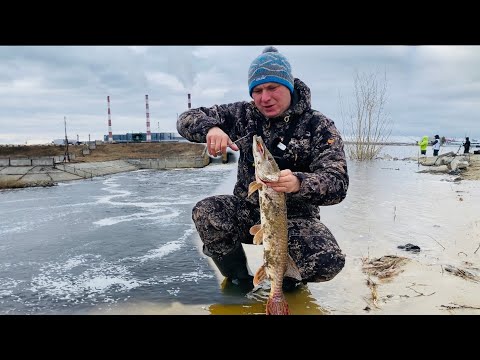 Видео: Рыбаков больше чем РЫБЫ!Судак на воблеры!Злая щука!Открытие сезона!Рыбалка в Сургуте.ГРЭС