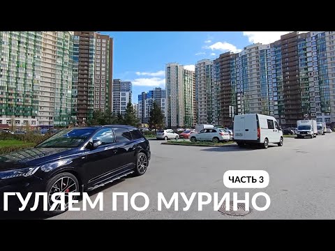 Видео: ПРОГУЛКА ПО МУРИНО ДЕВЯТКИНО САНКТ-ПЕТЕРБУРГ часть 3 | ОБЗОР МАГАЗИНА ЛЕНТА | ОБЗОР ПОКУПОК