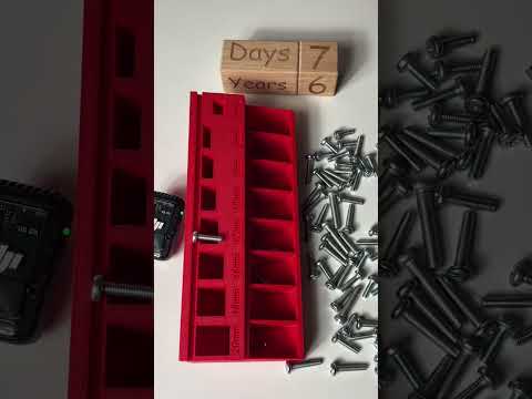 Видео: 4 ноября 2025 г.