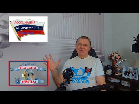 Видео: ИСКУССТВО ИЗГОТОВЛЕНИЕ КОРМОВ ДЛЯ АКВАРИУМНЫХ РЫБ.