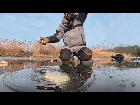 Видео: Хтось тягне ЛОДКУ, хтось повзе на КОЛІНАХ, Все тріщить а ЛОПАТИ КЛЮЮТЬ