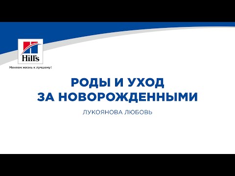 Видео: Вебинар на тему: “Роды, родовспоможение и уход за новорожденными”. Лектор - Любовь Лукоянова.