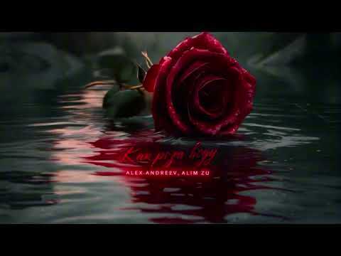 Видео: Alim Zu&Alex Andreev Как Роза воду