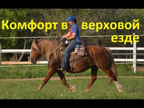 Видео: О комфорте и верховой езде.