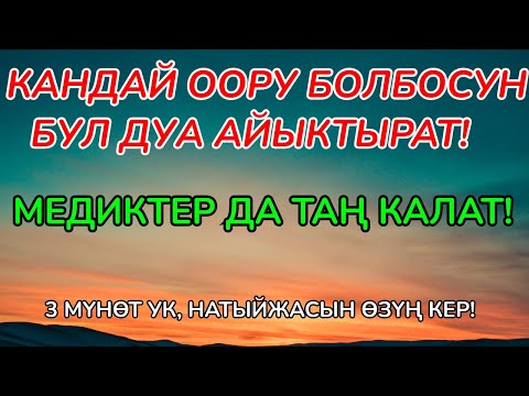 Видео: ДАРЫСЫ ЖОК ООРУЛАРГА ШЫПАА! Кереметтүү дуба менен айыгыңыз!