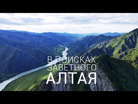Видео: ВСЕ ПОШЛО НЕ ПО ПЛАНУ! Ищем НАСТОЯЩИЙ АЛТАЙ в Чемальском районе в САМЫЙ РАЗГАР СЕЗОНА!