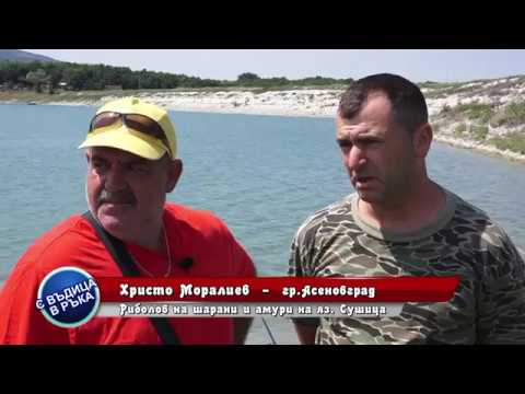 Видео: Шарани и Амури на яз.Сушица_www.digitalstudio.bg