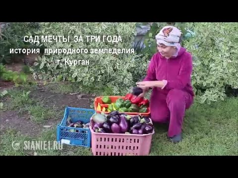 Видео: Сад мечты за три года
