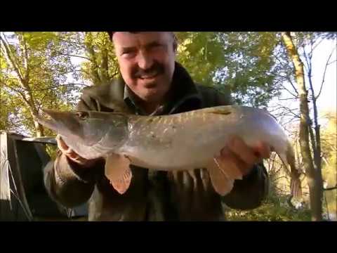 Видео: Река Тунджа през есента