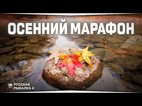 Видео: Осенний марафон • Квесты №2-4 • Русская Рыбалка 4