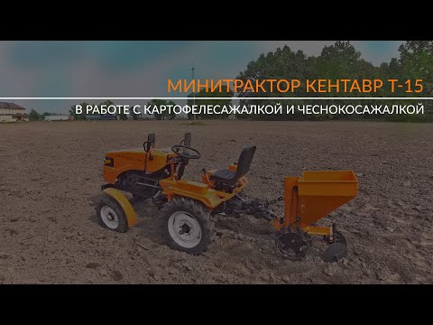 Видео: Минитрактор Кентавр Т-15 в работе с картофелесажалкой и чеснокосажалкой