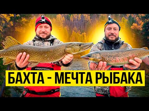 Видео: РЕКА БАХТА - МЕЧТА РЫБАКА / CИБИРЬ