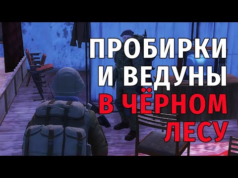 Видео: 61. Пробирки и Ведуны в Чёрном Лесу. Stay Out | RU2