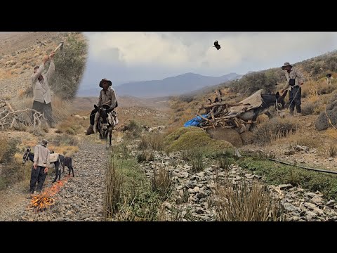 Видео: Кочевая жизнь в самом сердце смертоносного горного шторма | Уставший осёл, скользкая и опасная