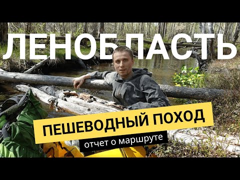 Видео: Лучший ПЕШЕВОДНЫЙ маршрут Ленинградской области! Отчет, описание, полезные советы