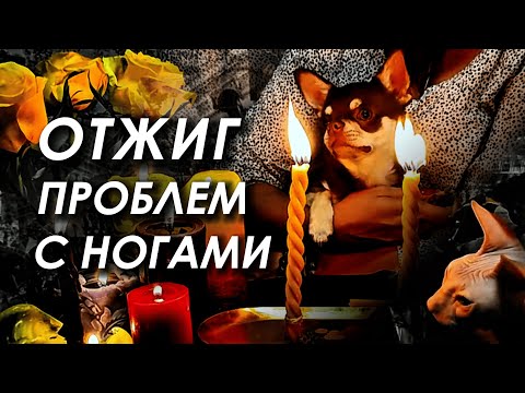 Видео: РИТУАЛ-ЧИСТКА НОГ И ДОРОГ 🦶👣 РИТУАЛ ОТ БОЛЕЙ В НОГАХ И ПЕРЕКРЫТИЙ 🚧