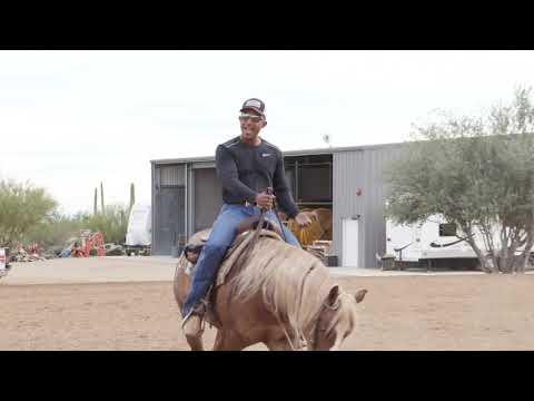 Видео: КАК СНЯТИЕ ШПОРОВ МОЖЕТ ДОБИТЬСЯ РЕЗУЛЬТАТА, КОТОРОГО ВЫ ИЩЕТЕ