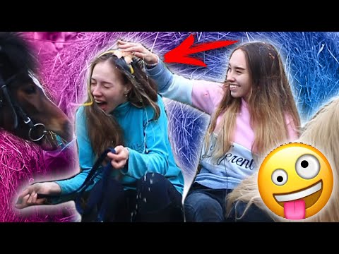 Видео: ОТВЕЧАЙ или СТРАДАЙ / Как хорошо мы знаем друг друга? Коноблогеры