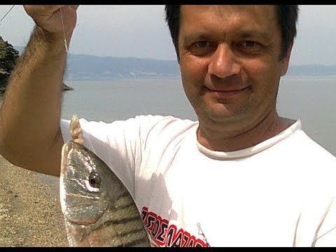 Видео: Этот червь ловит ВСЮ рыбу! Лучшая наживка на море!