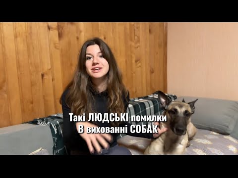 Видео: Помилки у вихованні собак 