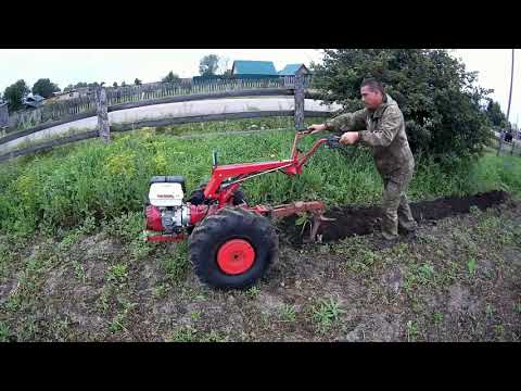 Видео: Мотоблок МТЗ-09 с реверсивным плугом ПЦ-1-18.Запахиваем скошенную фацелию.Работа в удовольствие.