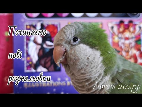 Видео: Починаємо нові розмальовки липень 2025р. / Hachette, Dessain et Tolra, Аркуш, sen ong