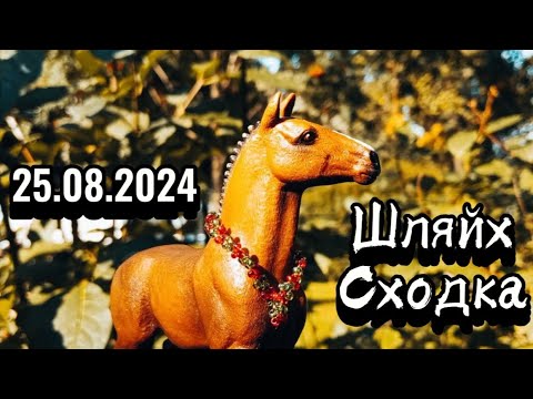 Видео: Влог со сходки 25.08.2024 (Москва, Парк Горького) ШЛЯЙХ-СХОДКА✨