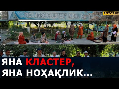Видео: КЛАСТЕР ПУЛЛАРИМИЗНИ БЕРСИН – ҚУЙИ ЧИРЧИҚДА АҲВОЛ ТАРАНГ... – EFFECT.UZ