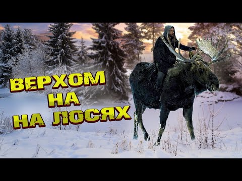 Видео: В тайгу к загадочной пещере!Случай в якутской тайге!