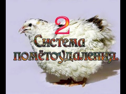 Видео: Система помётоудаления на перепелиной ферме 2.