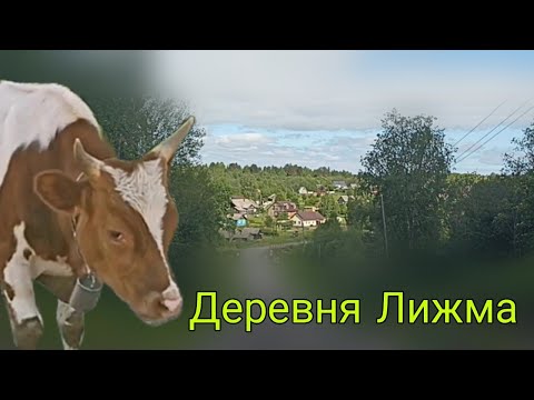 Видео: Небольшой обзор деревни Лижма. Карелия.