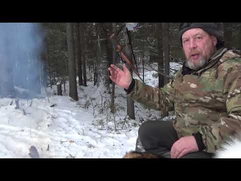 Видео: Промысел 2020 в лесу найдётся кто хитрей