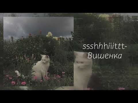 Видео: плейлист комфортного одиночества {don't speed up}[music_hana]