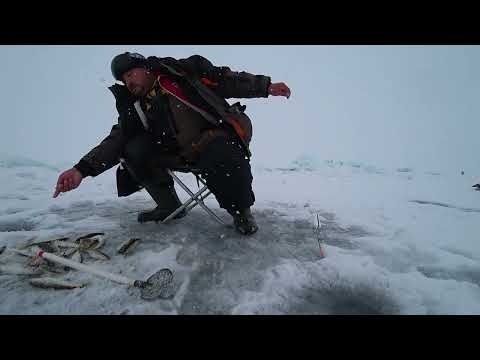 Видео: Зубарь клюет 8 марта! Рыбалка на зубастую корюшку