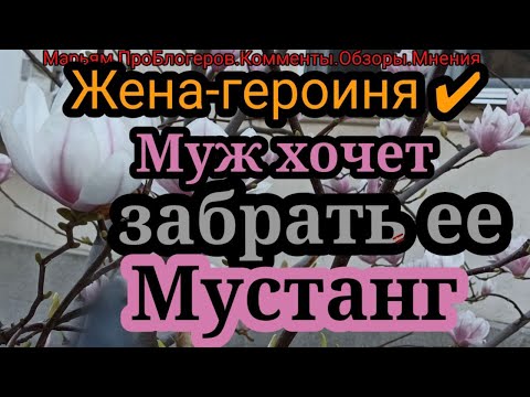 Видео: Жена Героиня.Думает, что всё сбегутся смотреть ее Мехмеда и она заработает