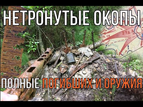 Видео: Нашли нетронутые окопы полные погибших и оружия! 16+