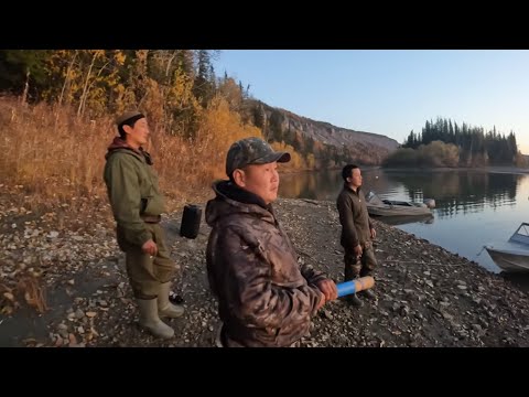 Видео: Долгожданная охота на изюбря на реву в Юго-Западной Якутии. 1 серия