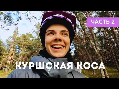 Видео: 110 км красоты по Куршской косе / Калининградская область на велосипеде
