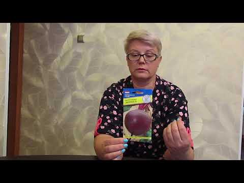 Видео: Лучшие сорта свёклы.