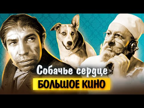 Видео: Собачье сердце. Тернистые тропы одного из лучших фильмов в истории нашего кино