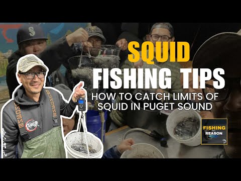 Видео: Как ловить кальмаров в заливе Пьюджет-Саунд | Руководство для начинающих по джиг-приманкам и этик...
