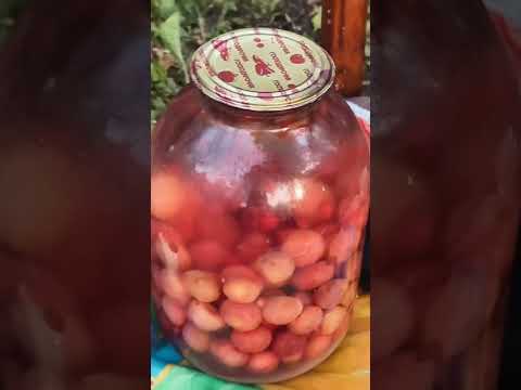 Видео: Дід Толя Нарізка Приколів #001