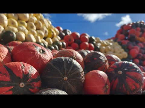 Видео: С 14 по 16.09.25 как-то много всего за эти дни