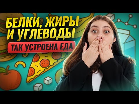 Видео: Как устроена еда: белки, жиры, углеводы — простыми словами | Биология ЕГЭ | Умскул